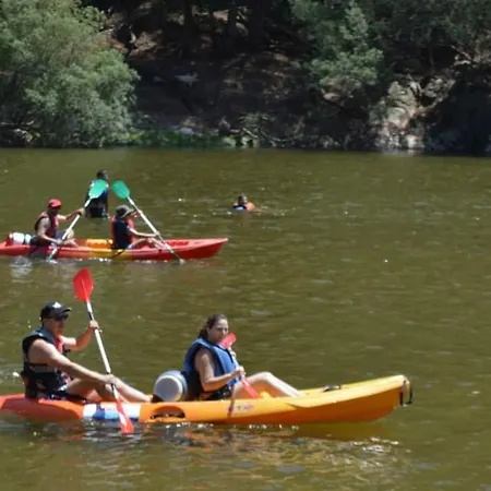 Mondego